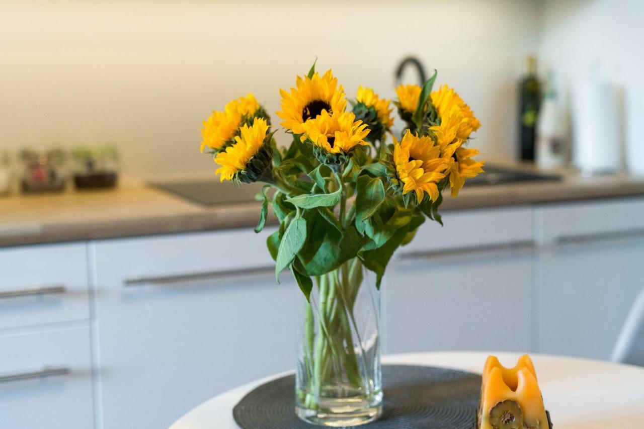 Sunflower Apartment คราคูฟ ภายนอก รูปภาพ